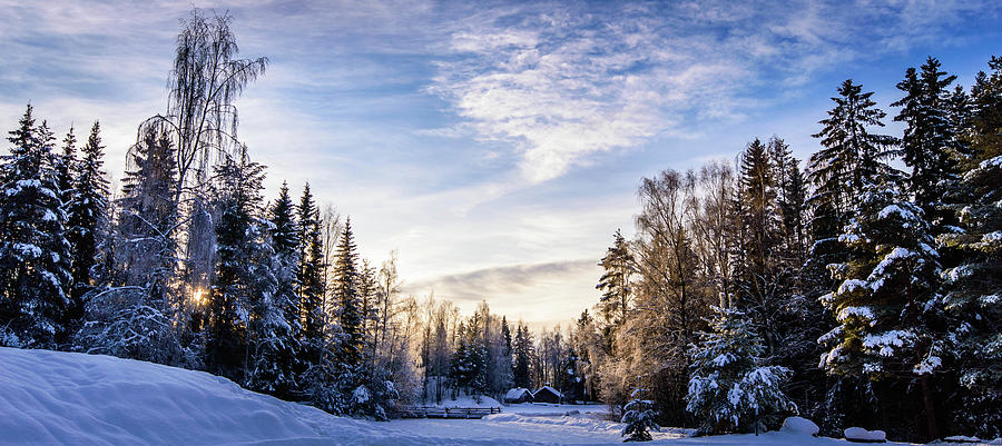 Cabin In The Winter Woods By Espen Brustuen