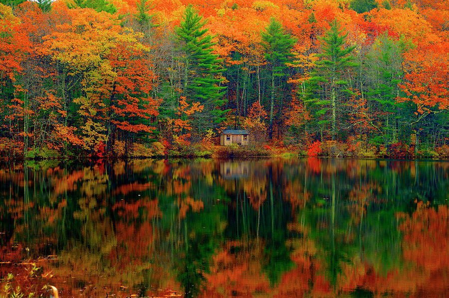 Cabin in the Woods Photograph by Jeff Cooper
