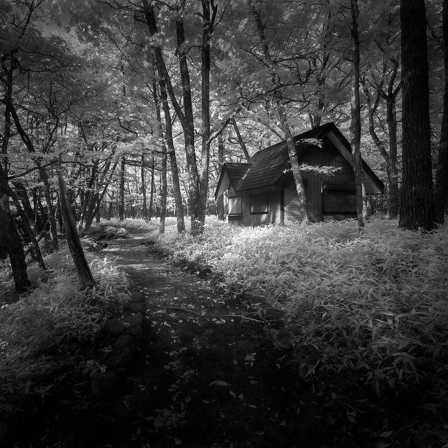 Cabin In The Woods Photograph - Cabin In The Woods by Michael De Guzman