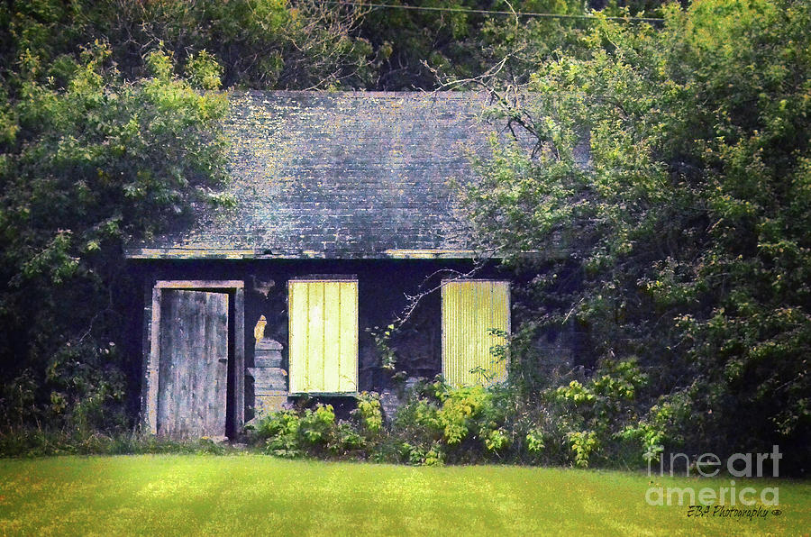 Cabin in Thessalon Photograph by Elaine Berger