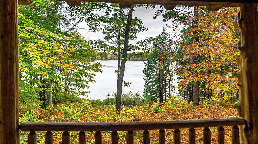 Tree Photograph - Cabin view by Optical Playground By MP Ray