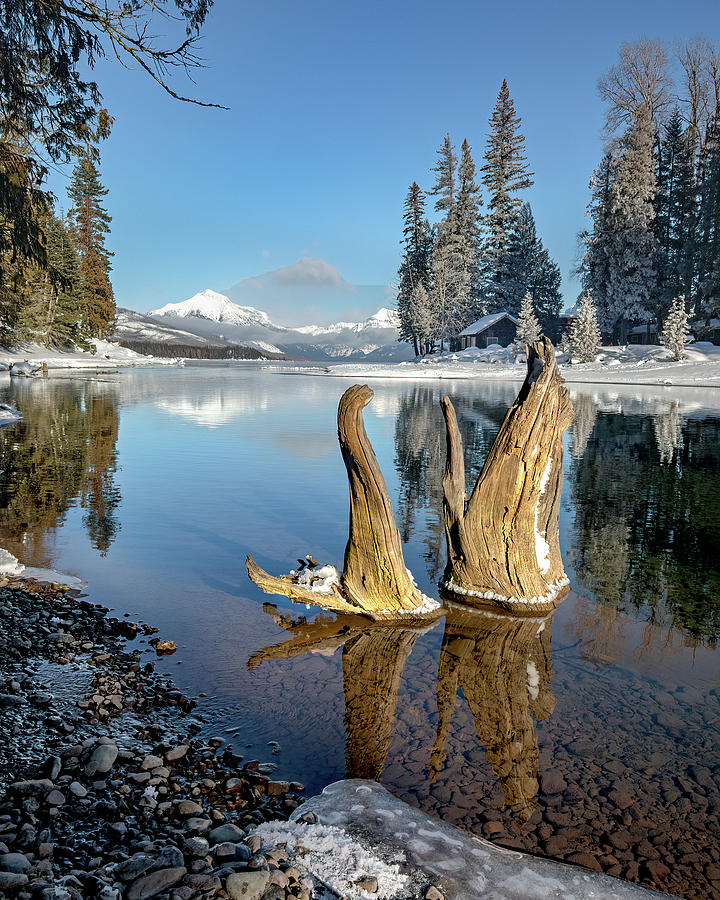 Cabin With A View Photograph By Jack Bell