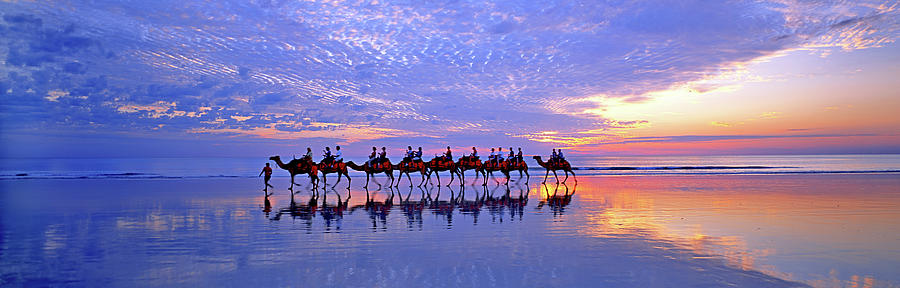 Beach Photograph - Cable Beach Camels by Wayne Bradbury Photography
