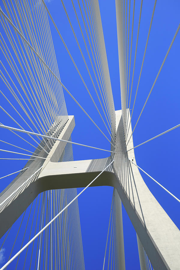 Cable-stayed Bridge Photograph by Republica