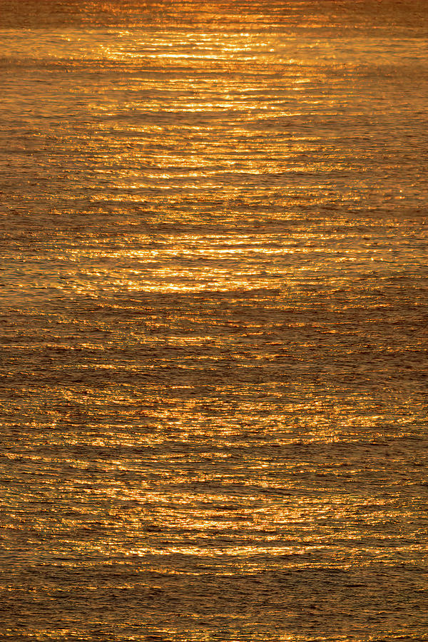 Cabo Golden Light Photograph by Mark Harrington