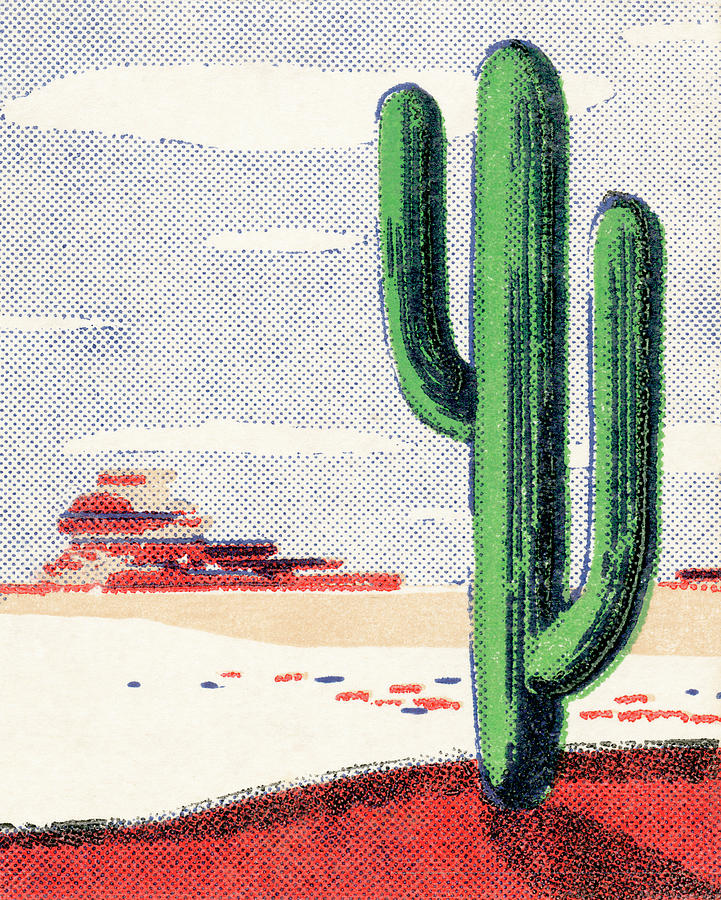 Nature Drawing - Cacti in the desert by CSA Images