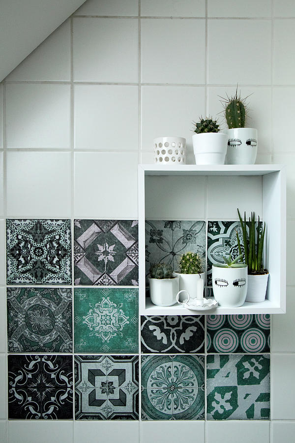 Cacti On Square Shelf Module On Wall With Patterned Tiles Photograph by Heidi Frhlich