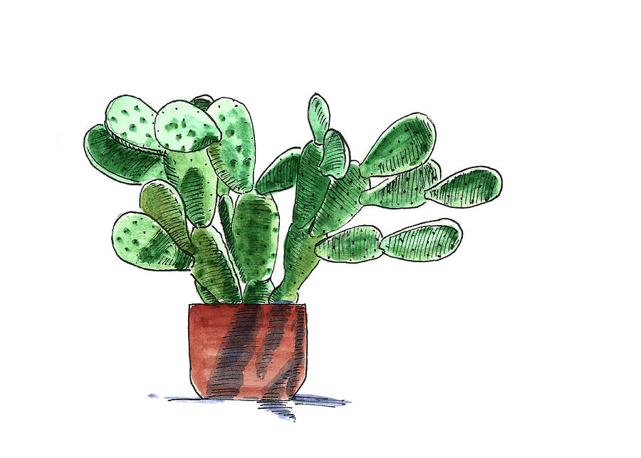 Cactus 5 Watercolor Painting by Masha Batkova