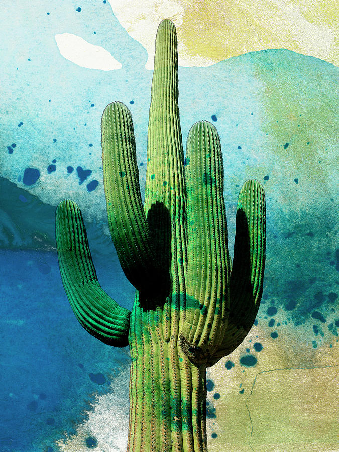 Desert Photograph - Cactus Abstract by Sisa Jasper