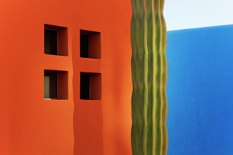 Cactus Against Colorful Walls Photograph by Pixelchrome Inc