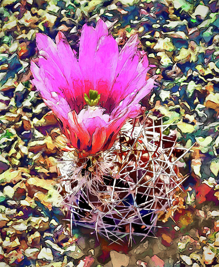Cactus and Flower Photograph by Dan Carmichael