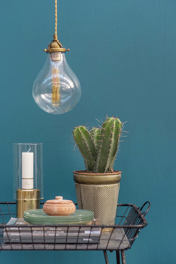 Cactus And Ornaments In Metal Basket Against Blue Wall Photograph by Magdalena Bjrnsdotter