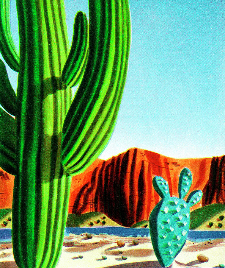 Nature Drawing - Cactus and Rock Formation Landscape by CSA Images