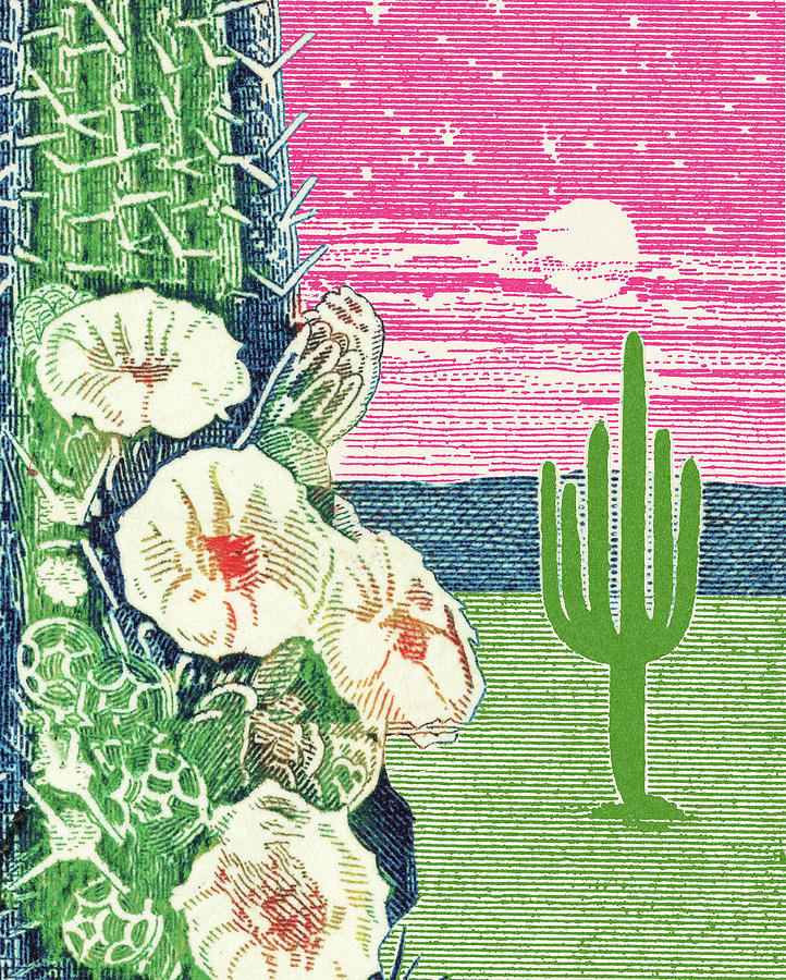Nature Drawing - Cactus Desert Scene by CSA Images
