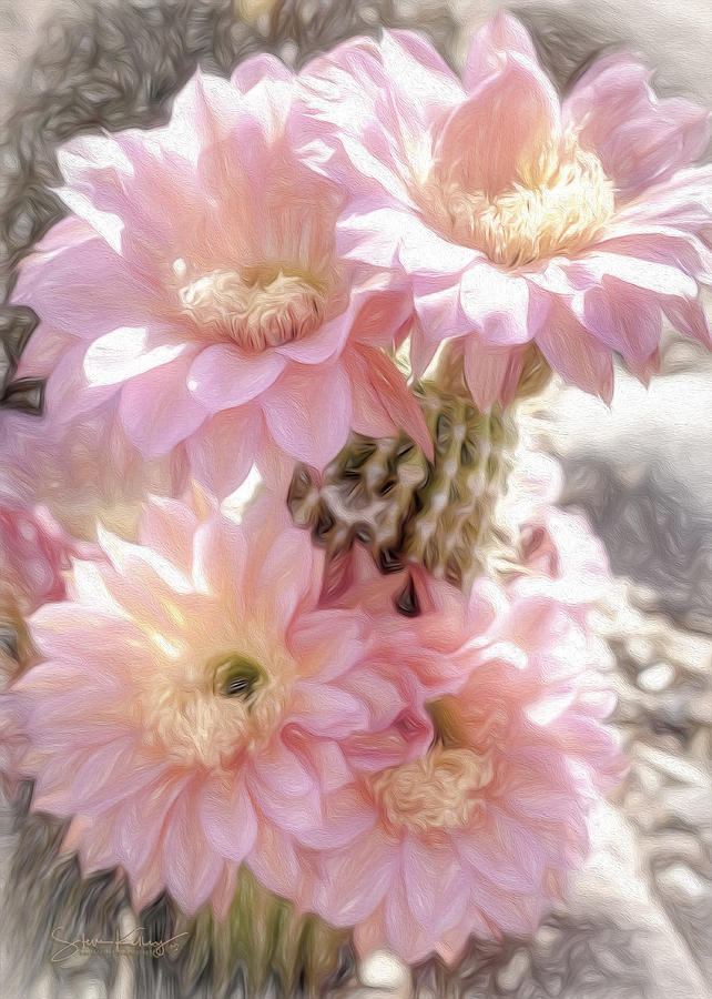 Cactus Flower 2 by Steve Kelley Cactus Flower 2 by Steve Kelley