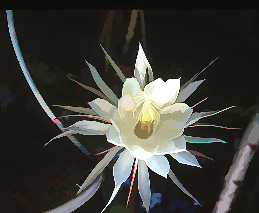 Cactus Flower Painting  Digital Art by Cathy Anderson