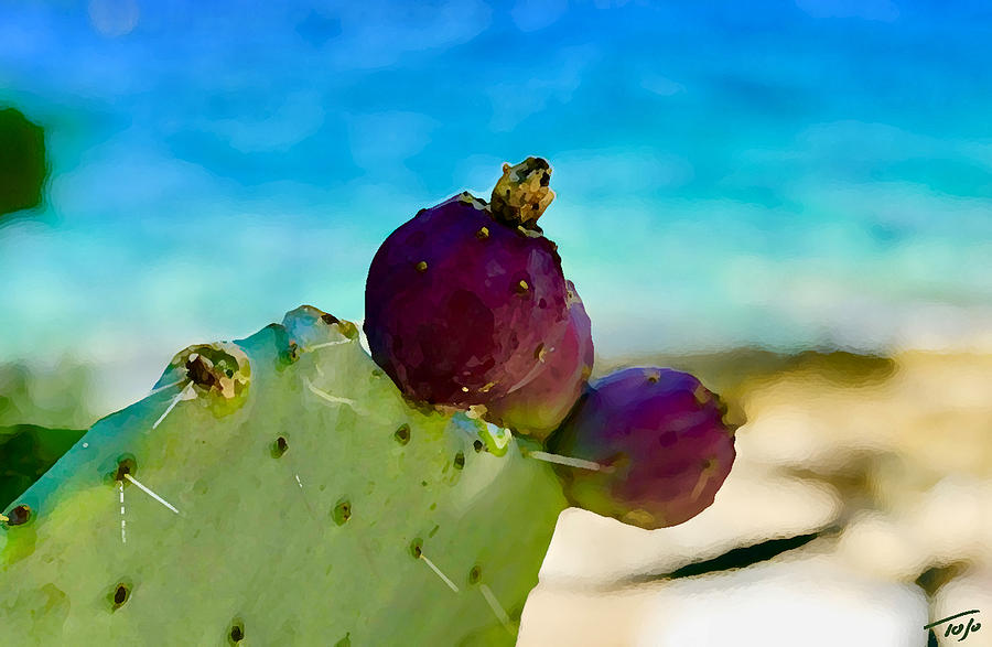 Cactus Fruit Photograph by Tom Johnson