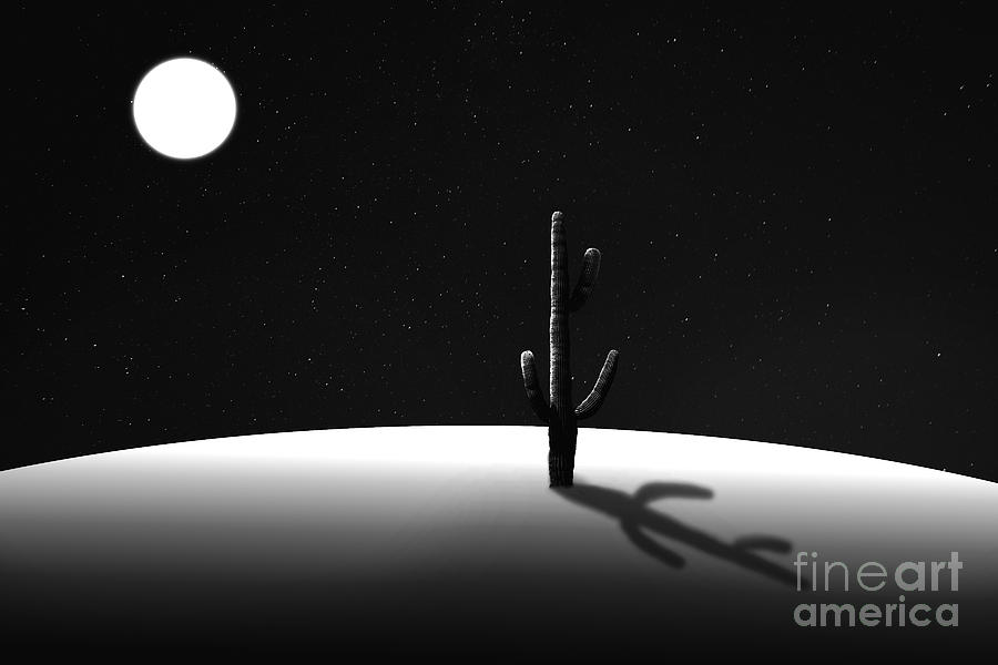 Black And White Photograph - Cactus in Space by Ed Taylor