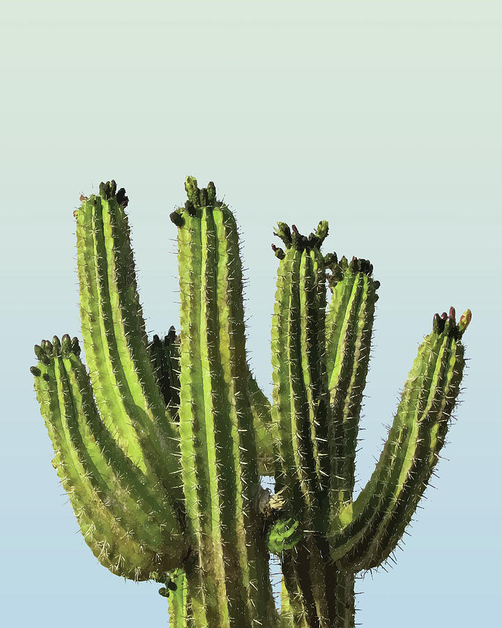 Cactus - Minimal Cactus Poster - Desert, Tropical - Succulents Poster - Modern Wall Decor Mixed Media by Studio Grafiikka