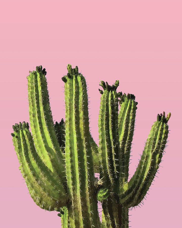 Cactus - Minimal Cactus Poster - Desert Wall Art - Tropical, Botanical - Pink, Green - Modern Prints Mixed Media