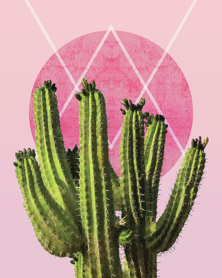 Nature Mixed Media - Cactus - Minimal Cactus Poster - Desert Wall Art - Tropical, Botanical - Pink, Green - Modern by Studio Grafiikka
