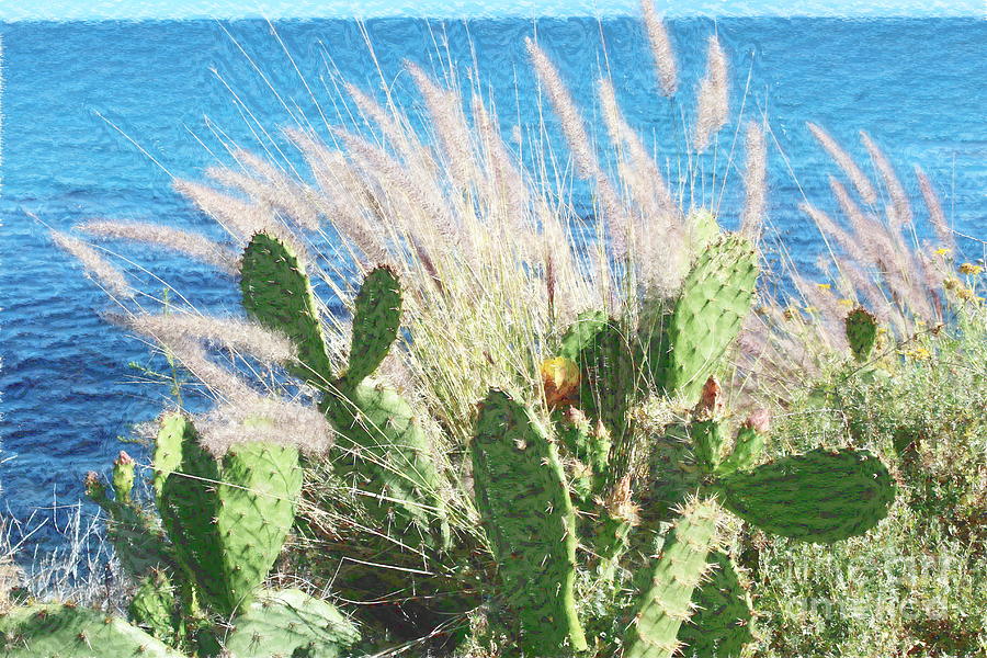 Cactus Water And Pampas Photograph