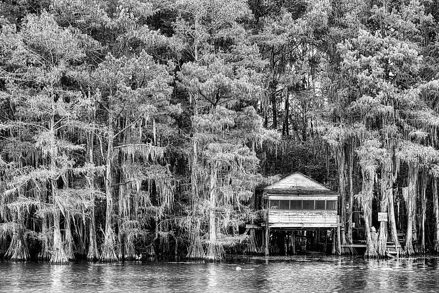 Caddo Lake Black and White Photograph by JC Findley