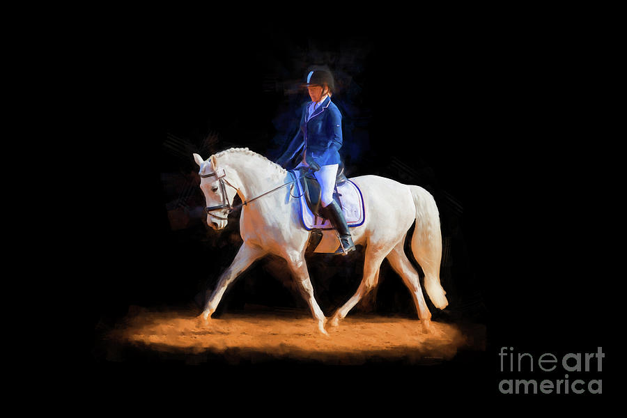 Cadence - Dressage Horse Photograph by Michelle Wrighton