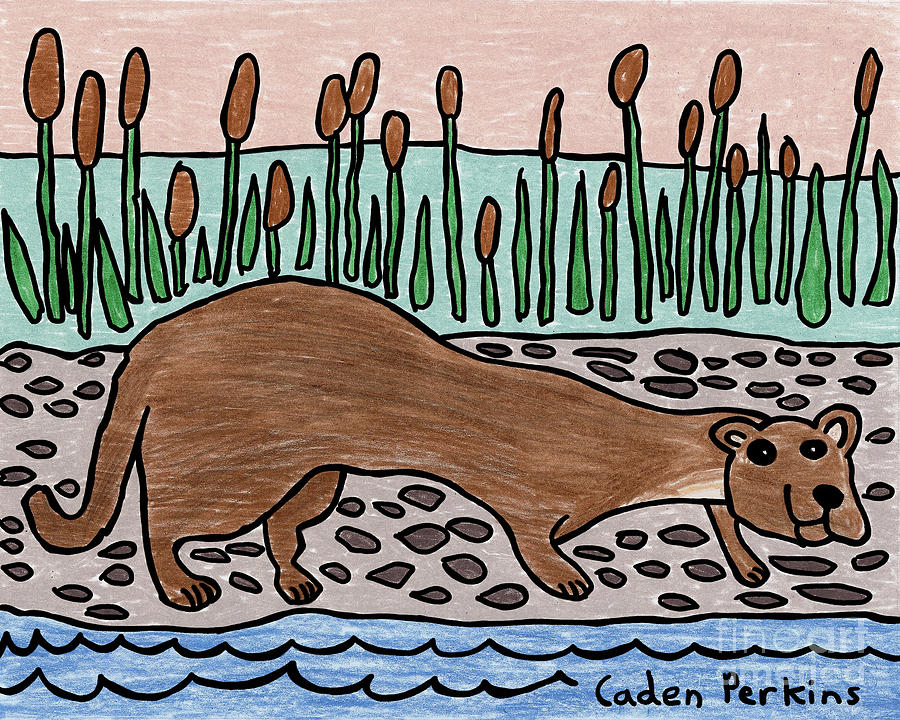 Cadens River Otter Drawing by Amy E Fraser