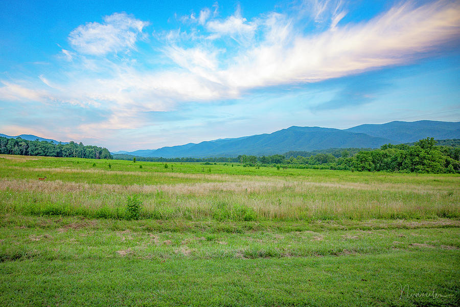 Cades Cove 3 Photograph by Nunweiler Photography