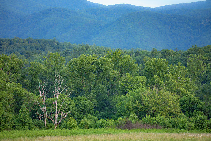 Cades Cove 4 Photograph by Nunweiler Photography