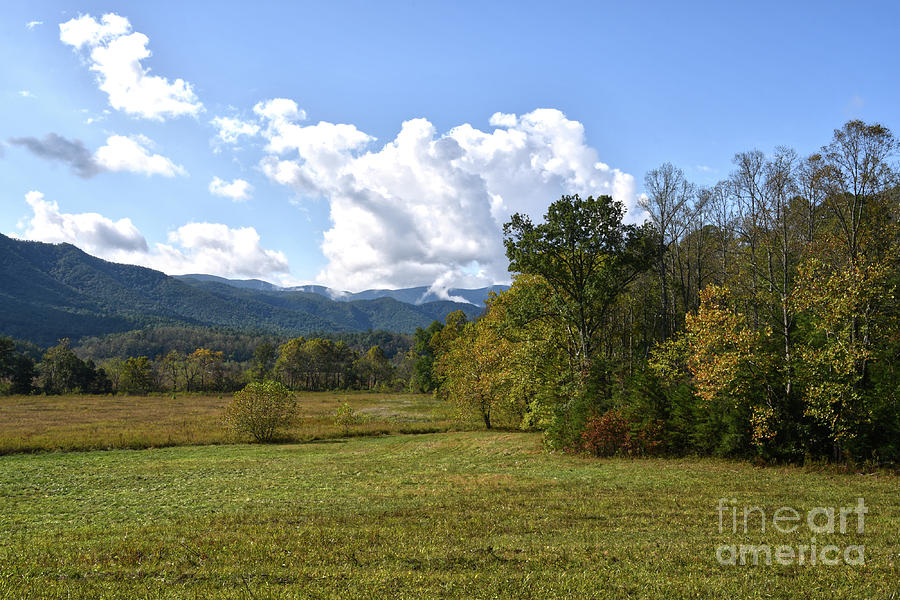 Cades Cove 5 Photograph by Phil Perkins