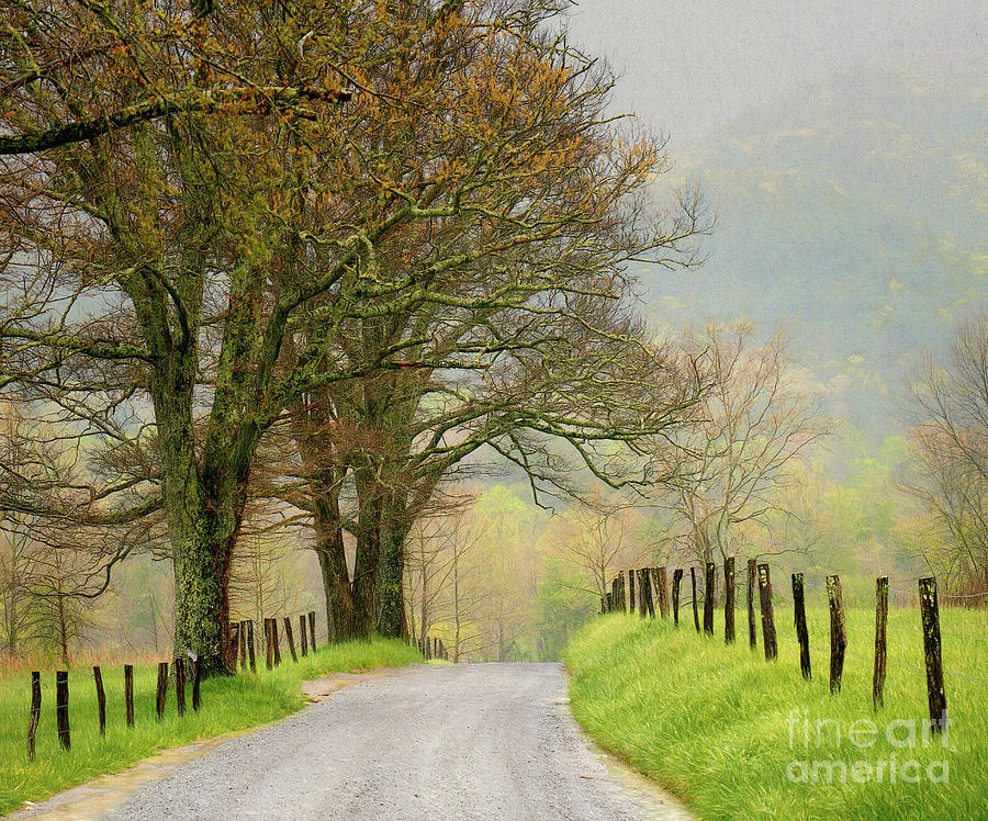 Cades Cove in Spring Photograph by Izet Kapetanovic
