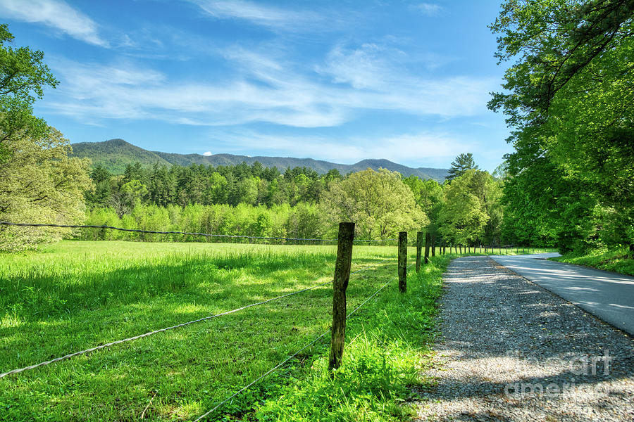 Cades Cove In Spring Photograph by Mel Steinhauer