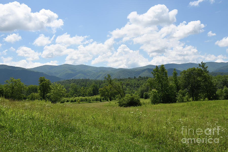 Cades Cove 1 Photograph by Phil Perkins