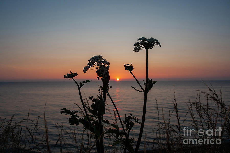 Caernafon Bay At Sunset Photograph
