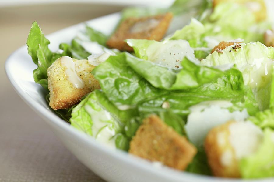 Caesar Salad In A Bowl; Close Up Photograph by James, Bruce