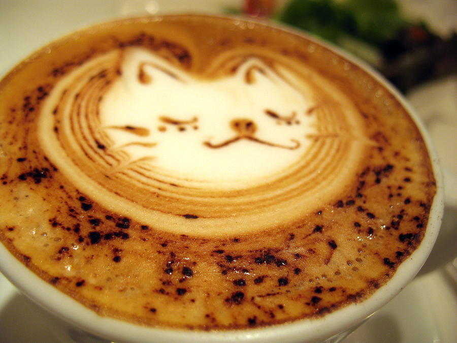 Cafe Latte Photograph by Bun Buku