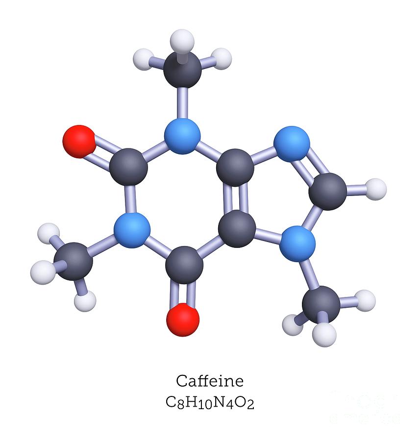 caffeine vs theine