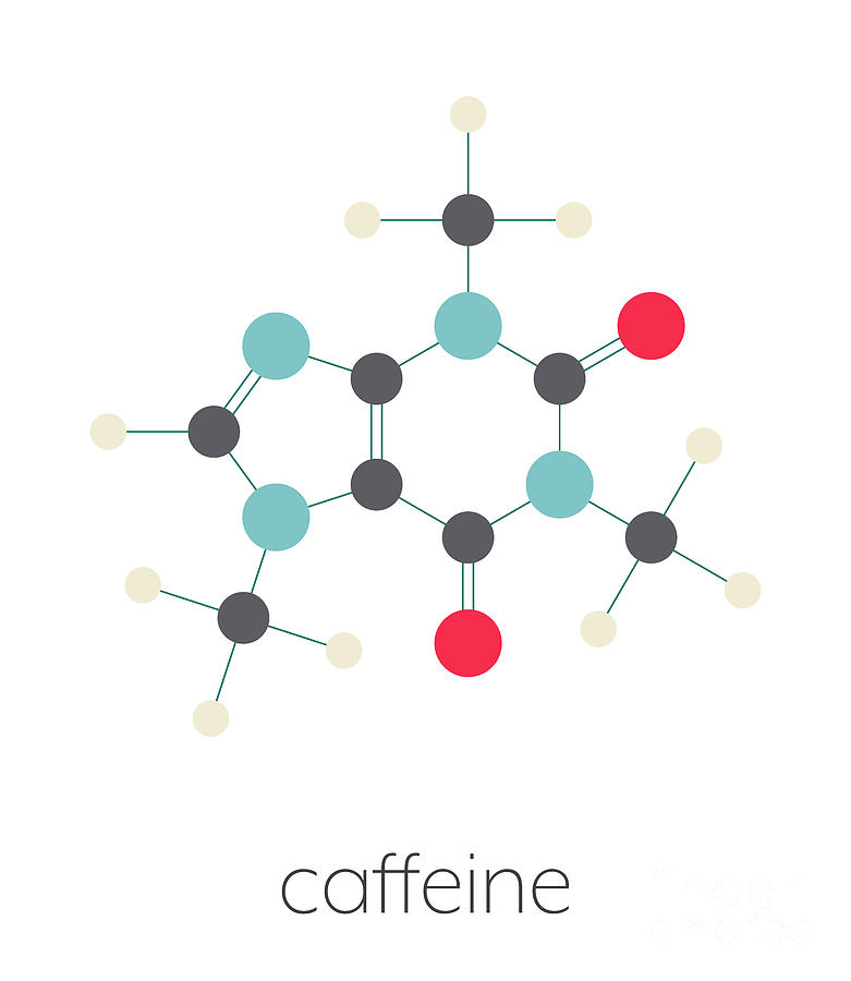 Caffeine Stimulant Molecule Photograph by Molekuul/science Photo Library
