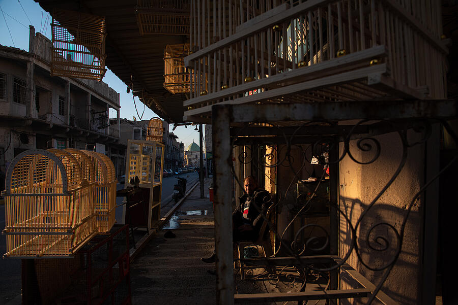 City Photograph - Cage Seller by Alibaroodi
