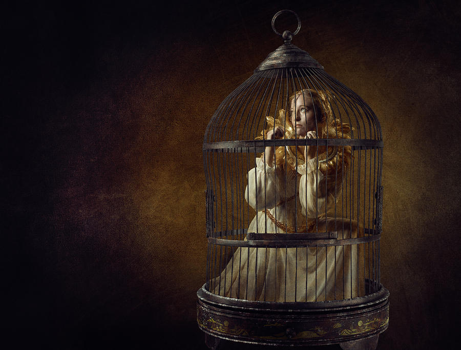 Caged. Photograph by Ineke Mighorst - Fine Art America