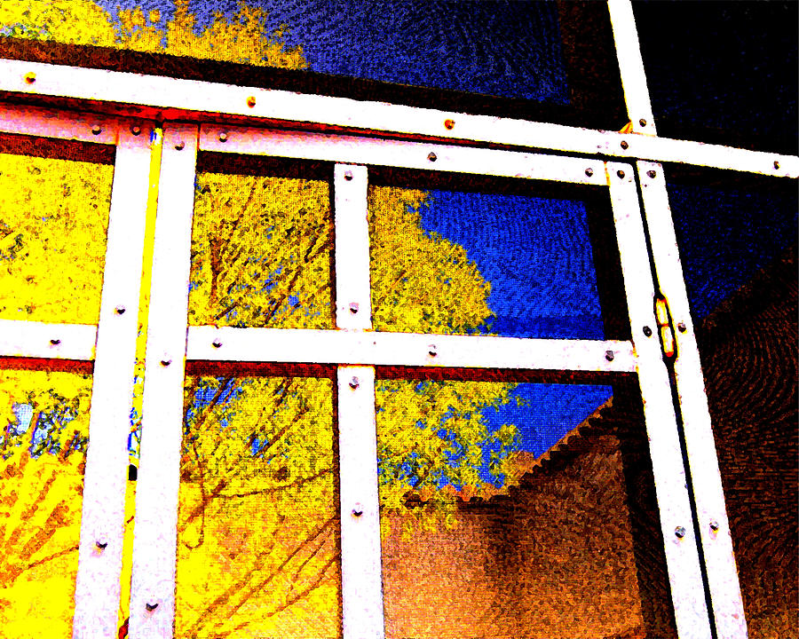 Caged Photograph - Caged Tree by Edward Swearingen Caged Photograph - Caged Tree by Edward Swearingen