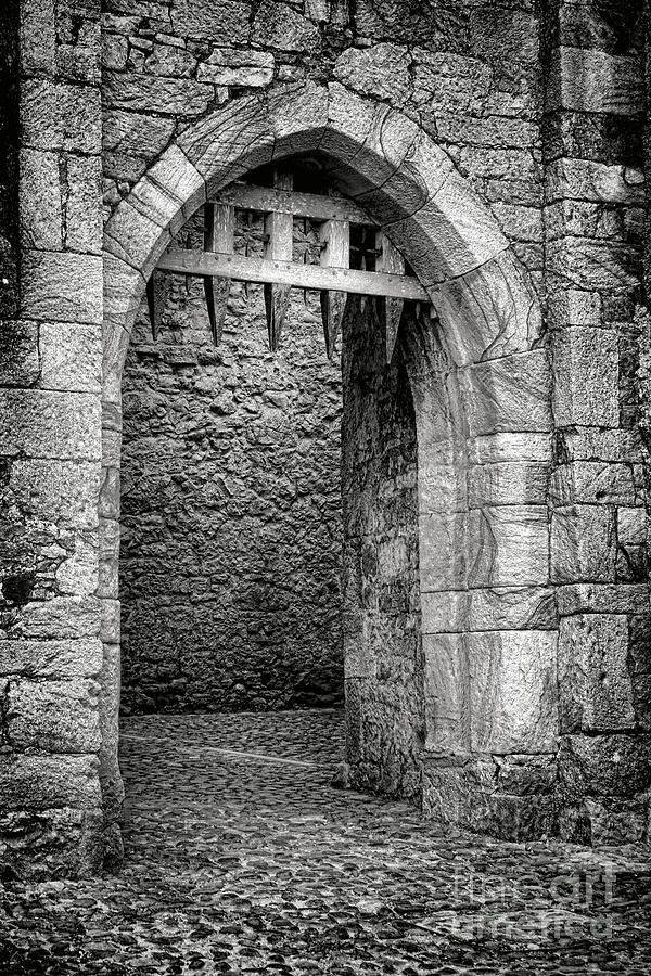 Cahir Castle Gate Photograph by Olivier Le Queinec