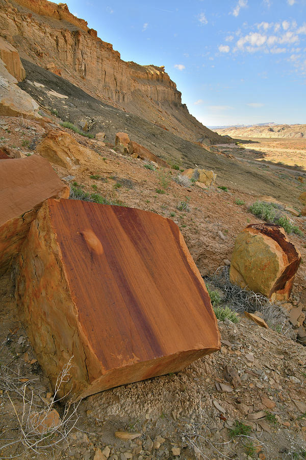 Utah Photograph - Cainevilld Wash Artful Boulders in Utah by Ray Mathis