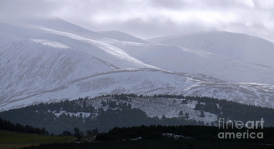 Cairngorm from Abernethy Forest in Winter  Photograph by Phil Banks