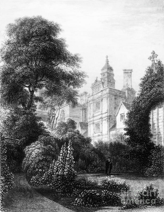 Caius College From The Fellows Gardens Drawing by Print Collector