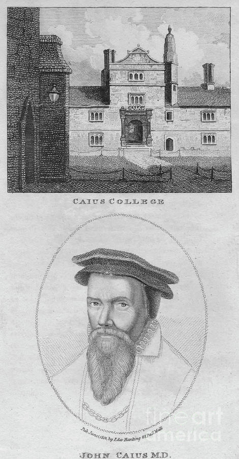 Caius College John Caius Md Drawing by Print Collector