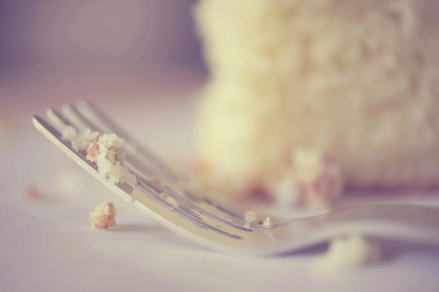 Cake With Fork Photograph by Samantha Wesselhoft Photography