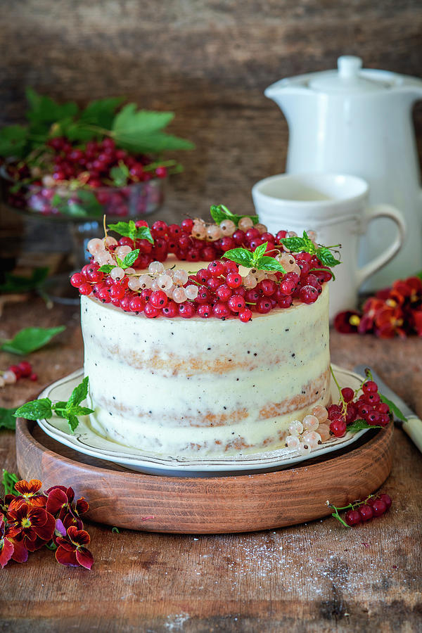 Cake With Vanilla Sponge, Cream Cheese And Currant Jelly Photograph by Irina Meliukh